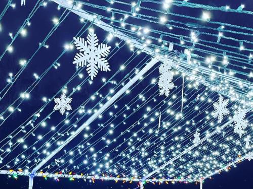 A canopy of twinkling white lights with snowflake decorations against a dark night sky.