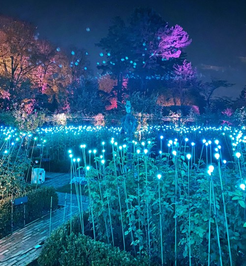 A nighttime garden illuminated with glowing blue lights, surrounded by colorful trees and a statue in the background.