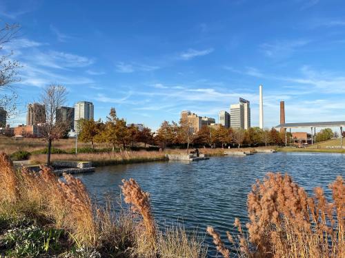 A serene park scene with a lake, tall grasses, and a city skyline under a clear blue sky.