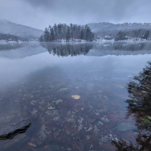 A serene lake scene with fog, reflecting trees and mountains, and visible underwater foliage.