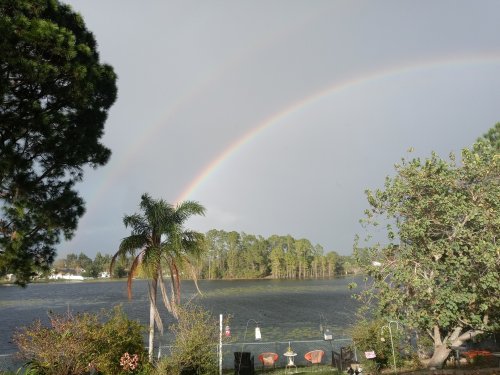 A vibrant double rainbow arcs over a calm lake surrounded by lush greenery and palm trees.