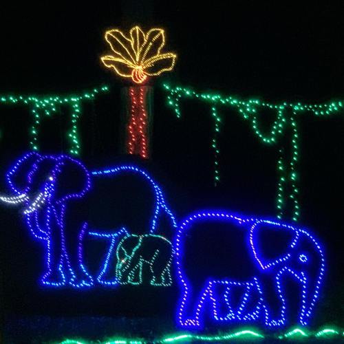 Colorful light display featuring three elephants and a palm tree against a dark background.