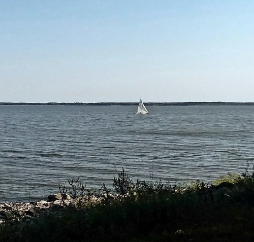 A small sailboat glides across a calm lake, with a rocky shoreline and greenery in the foreground.