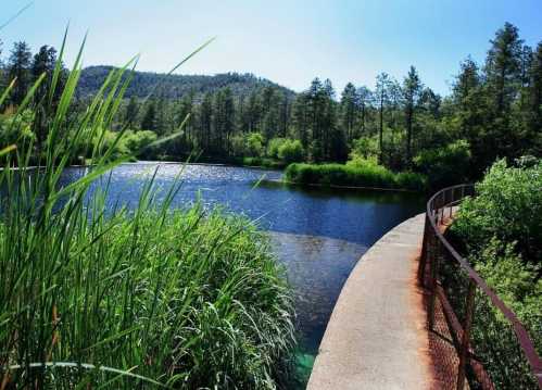 A serene pond surrounded by lush greenery and trees, with a winding path along the water's edge under a clear blue sky.