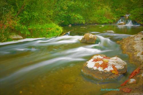 A serene stream flows over rocks, surrounded by lush greenery and fallen leaves, creating a peaceful natural scene.