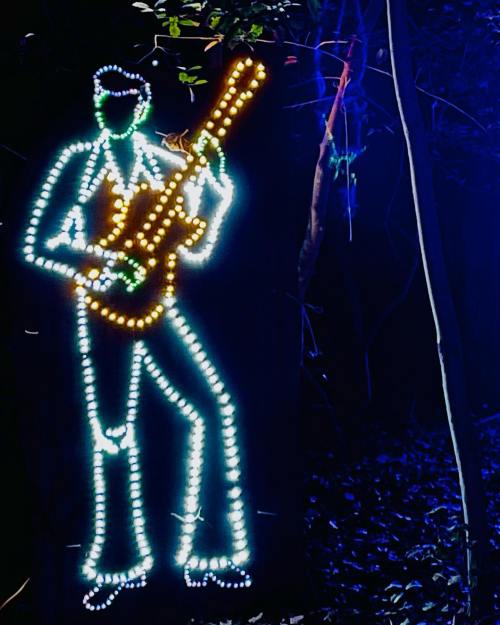 A glowing outline of a musician holding a guitar, illuminated with colorful lights in a dark forest setting.
