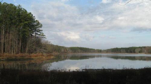 A serene lake surrounded by trees and hills under a cloudy sky, reflecting the landscape in calm waters.