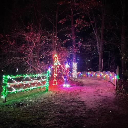 Colorful holiday lights illuminate a winding path through a dark forest, with festive decorations along the way.