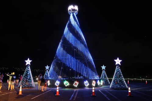 A large illuminated Christmas tree with blue lights and stars, surrounded by smaller decorated trees, at night.