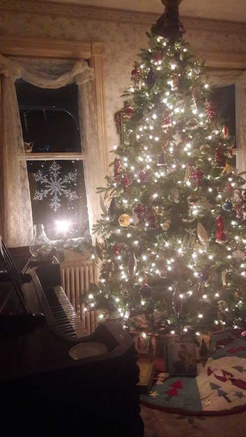 A beautifully decorated Christmas tree with lights and ornaments, next to a window with a snowflake design.