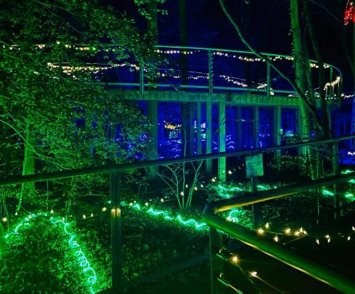 A wooden walkway illuminated by blue and green lights, surrounded by trees and festive decorations at night.