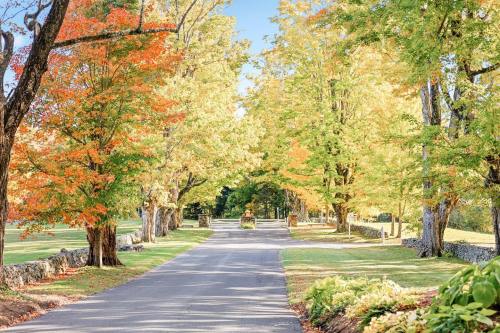 A scenic tree-lined road with vibrant autumn foliage in shades of orange and yellow under a clear blue sky.