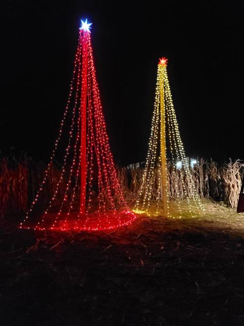 Two illuminated Christmas trees, one red and one yellow, glowing brightly against a dark night sky.