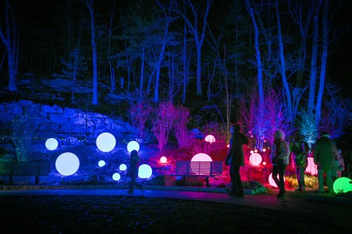 Colorful illuminated spheres in a dark park, with people walking among them and trees in the background.