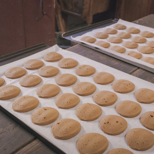 Baking trays with round, golden-brown cookies on parchment paper, set on a wooden table.