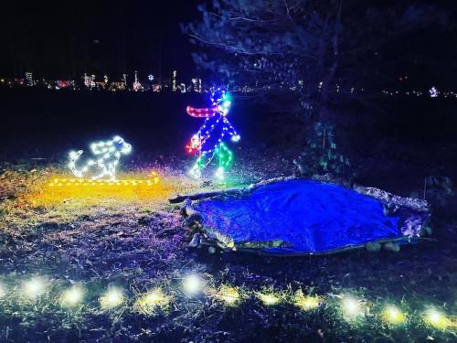A colorful light display featuring a snowman, a dog, and a blue blanket on the ground, set in a dark outdoor area.