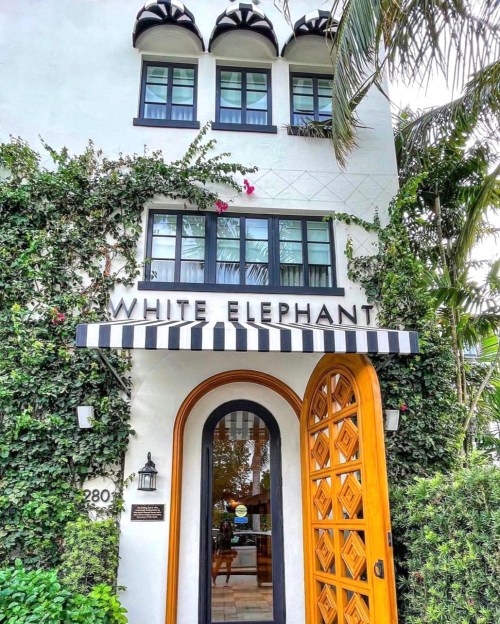 Charming building entrance with "White Elephant" sign, surrounded by greenery and featuring a decorative wooden door.