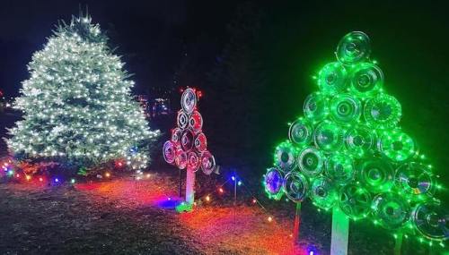 Two decorated Christmas trees at night, one with white lights and the other with green lights, surrounded by colorful lights.