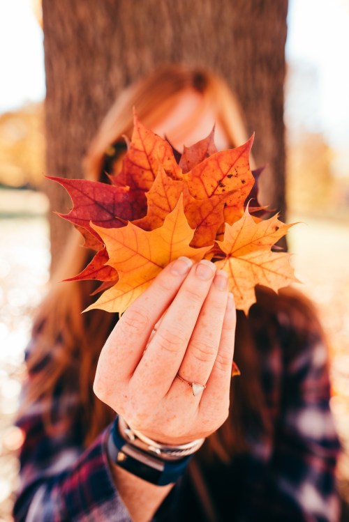 A person holds colorful autumn leaves in front of their face, with a blurred background of trees and fallen leaves.