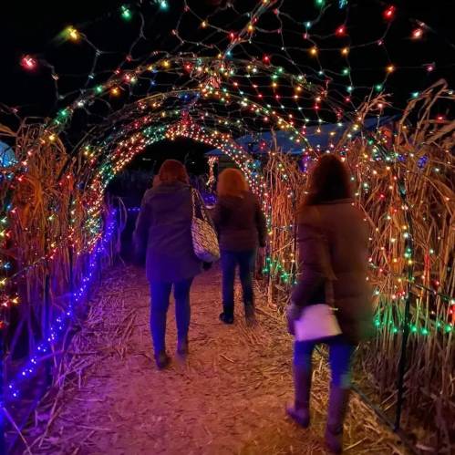 A festive pathway lit with colorful lights, leading through a field with two people walking.