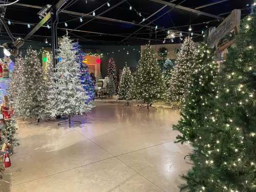 A festive display of decorated Christmas trees in a brightly lit indoor space, with colorful lights and holiday decor.