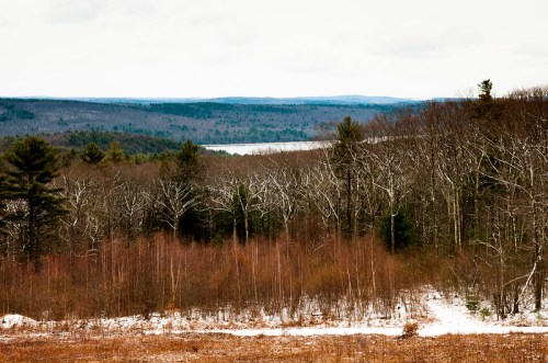 A scenic view of a forested landscape with rolling hills and a lake in the distance, under a cloudy sky.