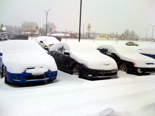 Three cars covered in thick snow, parked in a snowy landscape with a fast-food restaurant in the background.