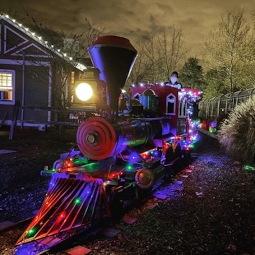 A brightly lit train decorated with colorful lights, set against a nighttime backdrop of trees and a house.
