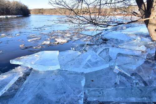 Ice chunks scattered along a riverbank, with a tree and calm water in the background on a clear winter day.