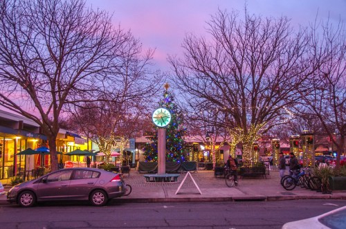 A festive street scene at dusk, featuring a decorated Christmas tree and twinkling lights among bare trees.
