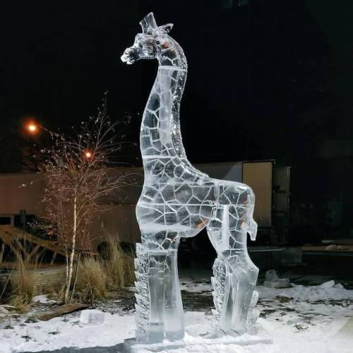 A large ice sculpture of a giraffe, intricately carved, stands in a snowy outdoor setting with soft lighting.