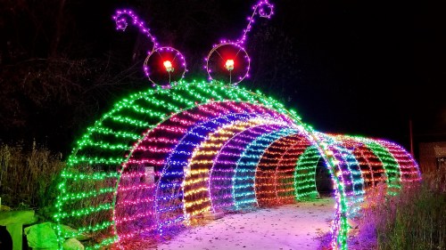 A colorful light tunnel shaped like a caterpillar, glowing in vibrant hues of green, pink, and blue against a dark night sky.