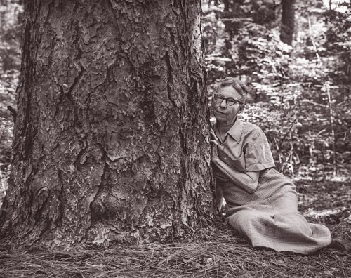 An elderly woman sits beside a large tree in a forest, looking contemplative and relaxed in a vintage setting.