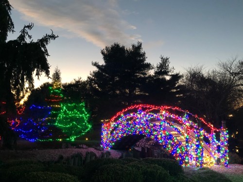 A colorful bridge adorned with Christmas lights, surrounded by illuminated trees against a twilight sky.