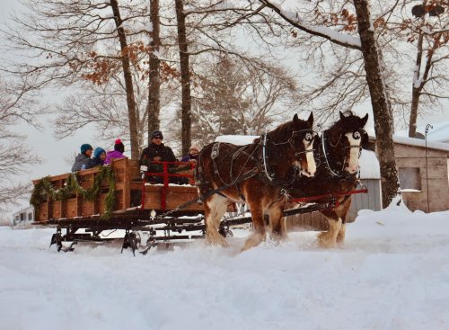 A horse-drawn sleigh carries passengers through a snowy landscape, surrounded by trees and a rustic building.