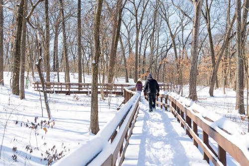 Two people walk along a snow-covered wooden path through a winter forest with bare trees.