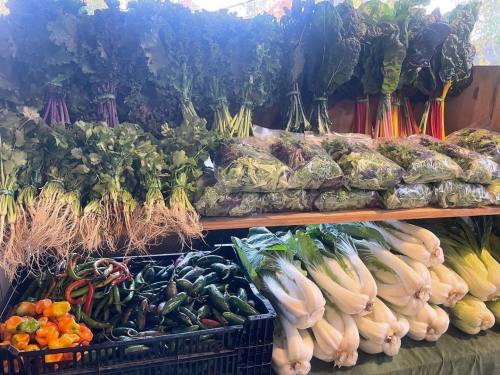 A variety of fresh vegetables, including leafy greens, peppers, and root vegetables, displayed at a market.