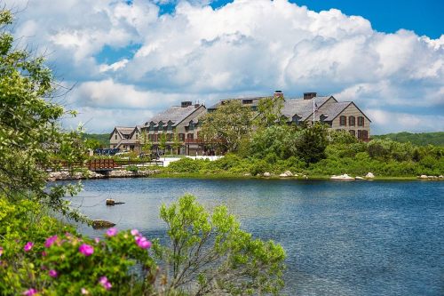 A scenic view of a large building by a lake, surrounded by greenery and colorful flowers under a blue sky with clouds.