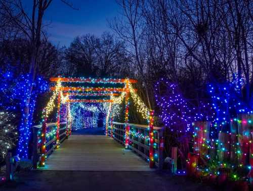 A wooden bridge adorned with colorful holiday lights, surrounded by trees, under a twilight sky.