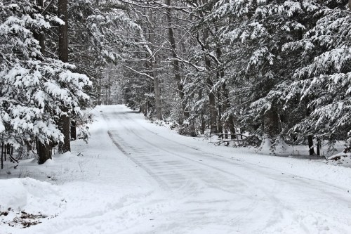 A snow-covered road winding through a forest of tall, snow-laden trees.