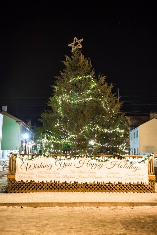 A large decorated Christmas tree with lights and a star on top, beside a holiday greeting banner at night.
