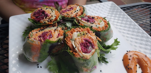 Colorful vegetable spring rolls arranged on a white plate, served with a drizzle of orange sauce.