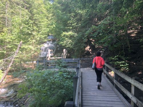 A person walks along a wooden path in a lush forest, with a waterfall visible in the background.