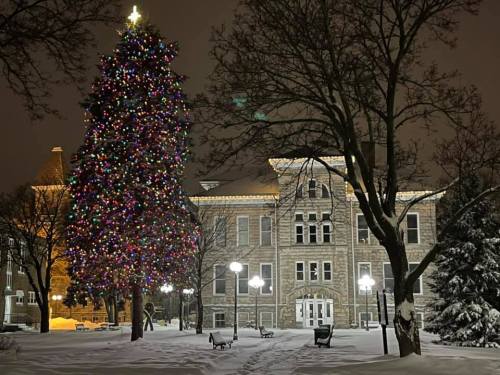 A brightly lit Christmas tree stands in front of a historic building, surrounded by snow and illuminated by street lamps.