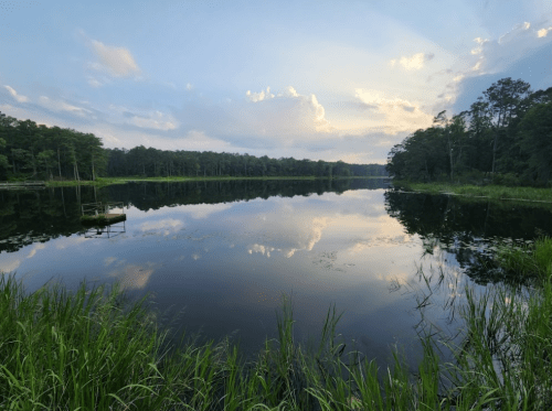 A serene lake surrounded by lush greenery, reflecting clouds and trees in the calm water at sunset.
