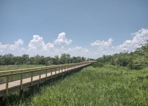 A wooden boardwalk stretches through lush green grass under a bright blue sky with fluffy white clouds.