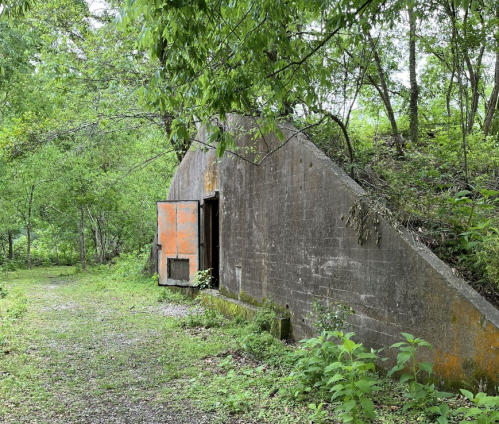Abandoned concrete structure surrounded by lush greenery and trees, with an open door and overgrown vegetation.