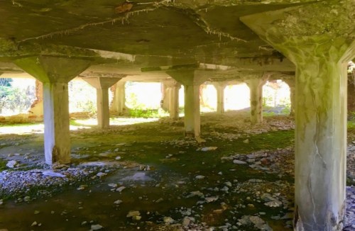 Abandoned structure with concrete pillars and overgrown ground, illuminated by natural light filtering through.