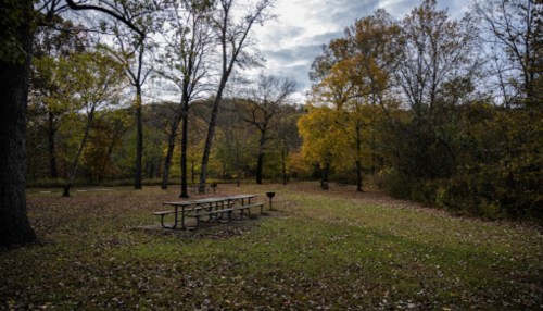 A picnic area with a table surrounded by trees in autumn, featuring fallen leaves and a cloudy sky.