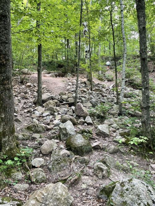 A rocky path through a lush green forest, with trees lining the trail and a person in the distance.